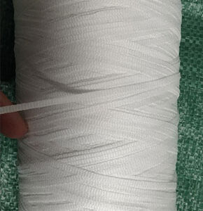 Dây cotton