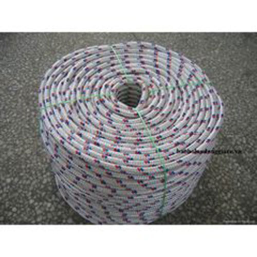 Dây cứu sinh