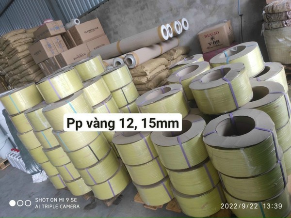 Dây đai nhựa PP vàng 12mm, 15mm