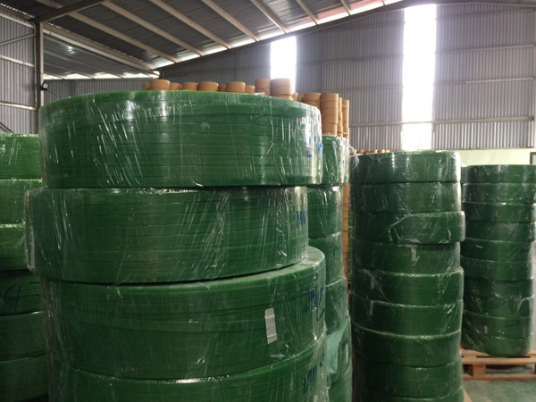 Dây đai nhựa PET