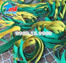 Dây đai xanh vàng dày 2.5mm