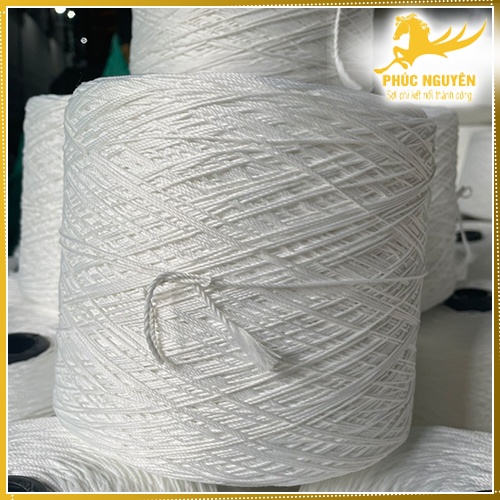 Dây lé, dây dù Polyester