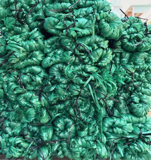 Dây nilon Bẹ màu xanh