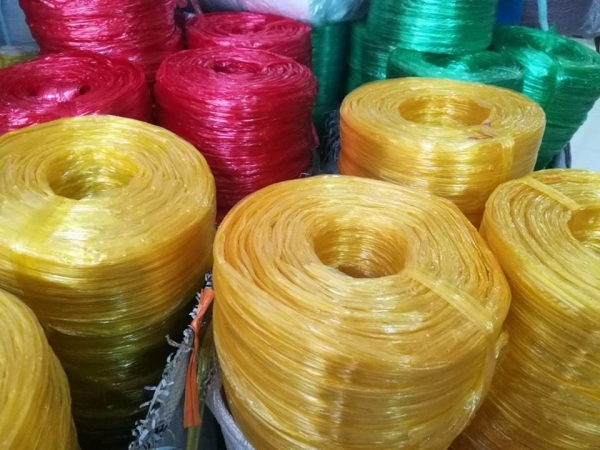 Dây nilon nem