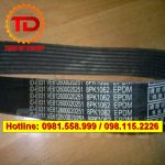 Dây CUROA 8PK1062