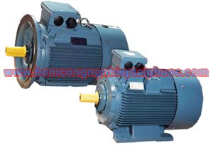 Động cơ điện ATT - RMS & WY Series