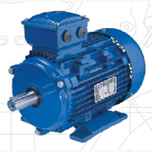 Động cơ điện ESC
