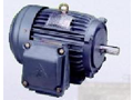 Increased Safety Motor