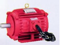 Smoke Spill Motor