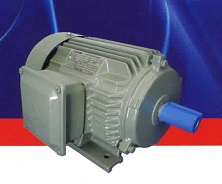 Động cơ điện Teco EFF2