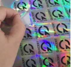 Decal trong