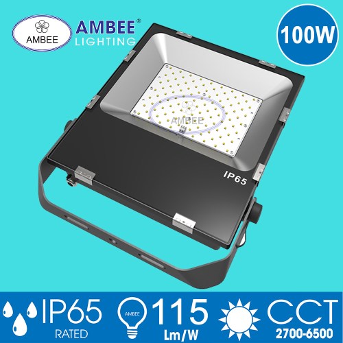Đèn LED pha TD01 100W