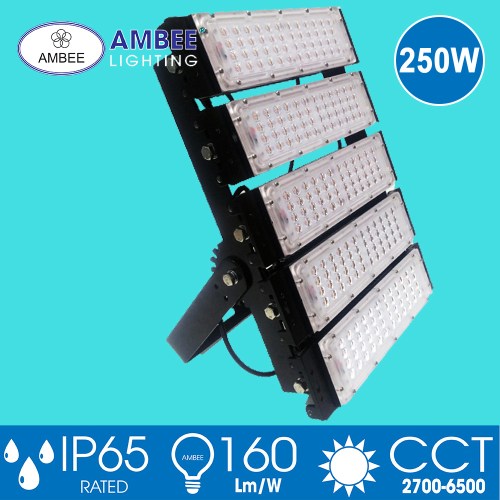 Đèn Led pha TD05 250W