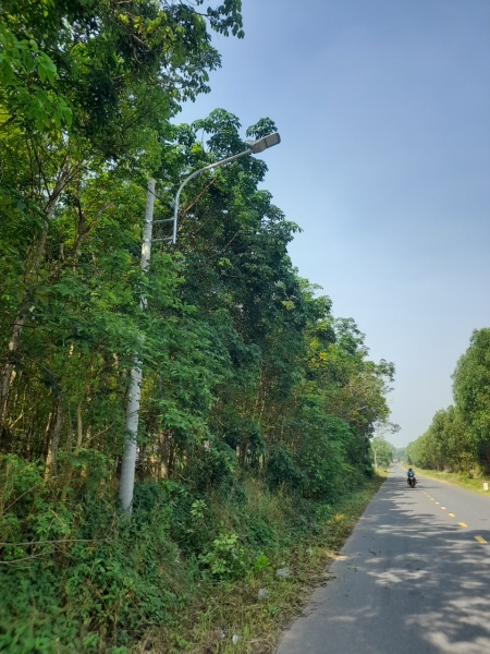 Đèn chiếu sáng
