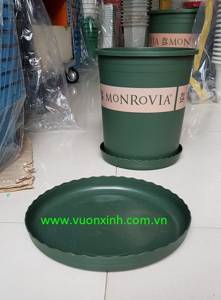 Đĩa lót chậu