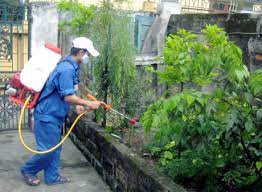 Dịch vụ phun ruồi muỗi