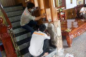 Dịch vụ diệt mối công ty