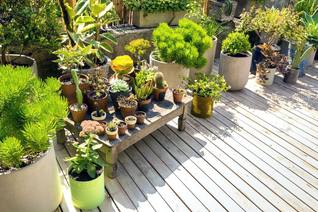Dịch vụ bán nguyên liệu và phụ kiện