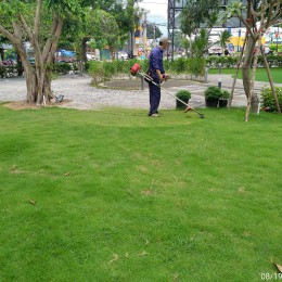 Dịch vụ bảo dưỡng cảnh quan