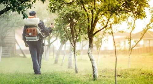 Dịch vụ diệt côn trùng
