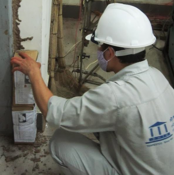 Dịch vụ diệt mối