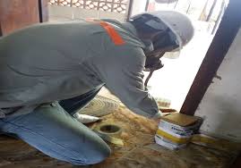 Dịch vụ diệt mối