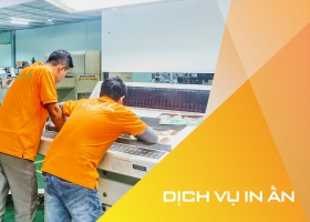 Dịch vụ thiết kế và in ấn bao bì carton