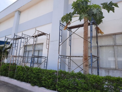 Dịch vụ thi công sơn