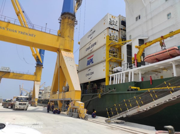 Vận tải biển container chuyên dụng