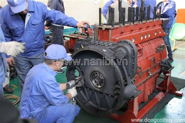 Dịch vụ bảo dưỡng định kỳ, chữa các loại động cơ Diesel