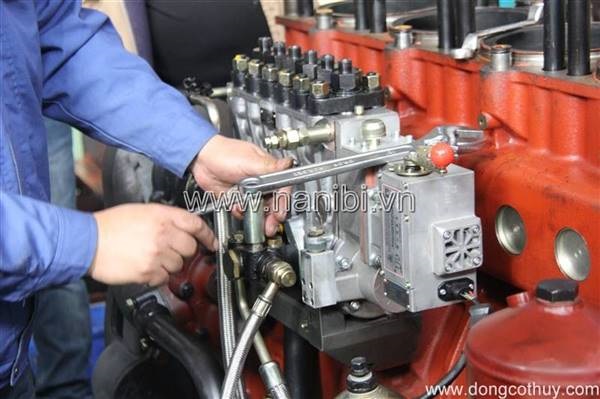 Dịch vụ bảo dưỡng định kỳ, chữa các loại động cơ Diesel