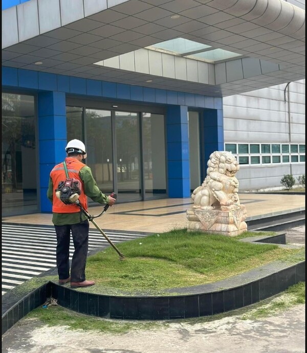 Dịch vụ cắt cỏ