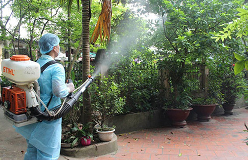 Dịch vụ diệt côn trùng