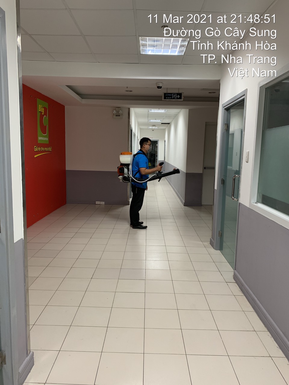 Dịch vụ diệt côn trùng