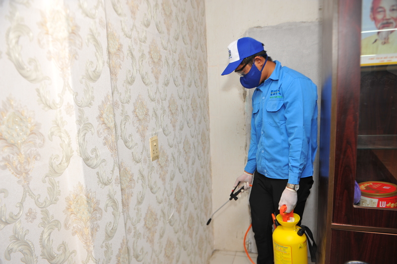 Dịch vụ diệt mối, diệt côn trùng