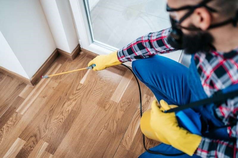 Dịch vụ kiểm soát côn trùng