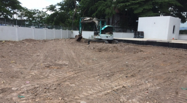 Dịch vụ trồng cây xanh, trồng cỏ