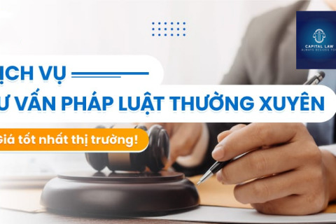 Tư vấn đầu tư quản trị doanh nghiệp, luật sư