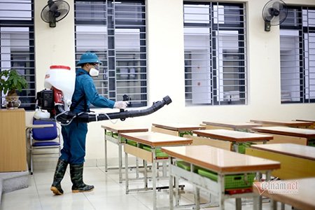 Dịch vụ diệt côn trùng tận gốc