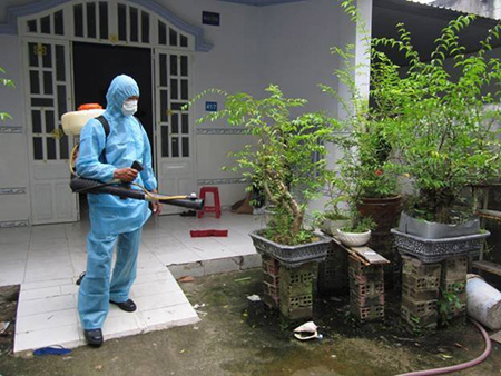 Dịch vụ diệt muỗi