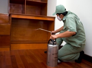 Diệt côn trùng