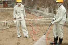 Dịch vụ diệt côn trùng