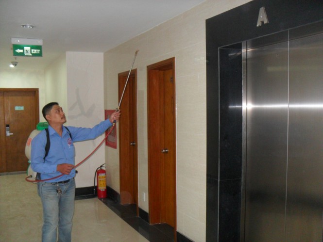 Diệt côn trùng