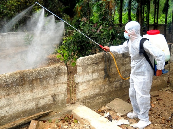 Dịch vụ diệt côn trùng