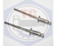 Đinh rút inox