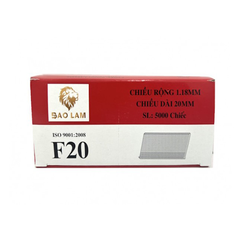 Đinh F20