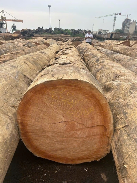 Gỗ đinh hương Bosse