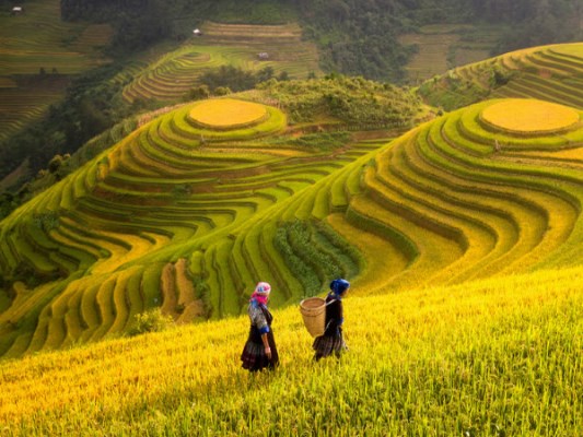 Du lịch Sapa