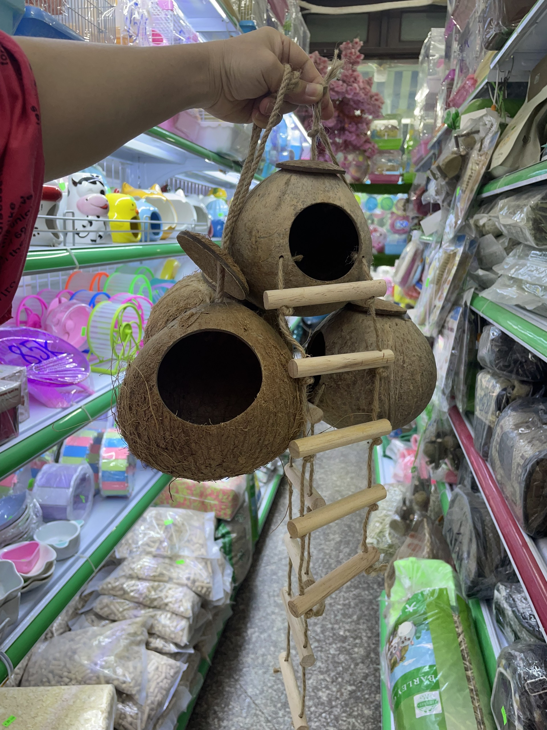 Đồ chơi công viên