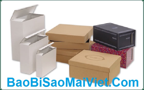 Bao bì carton